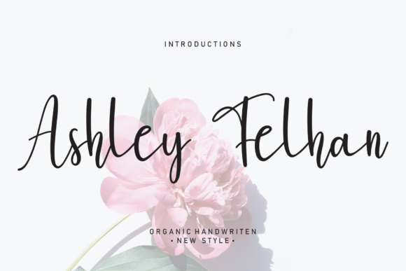 Ashley Felhan: A Playful Script Font for Creative Brand Identity