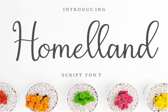 Homelland Script Font: Elevating Digital Brand Identity
