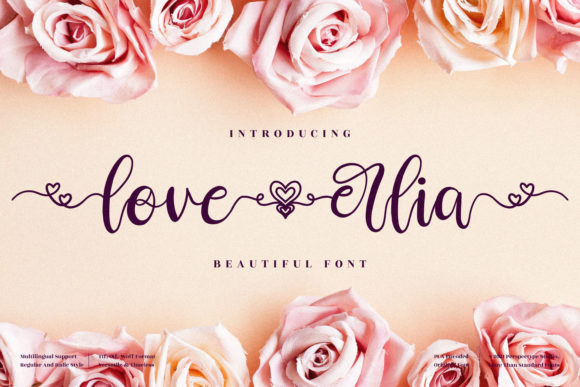 Love Erlia: The Script Font That Brings Warmth to Campaign Design