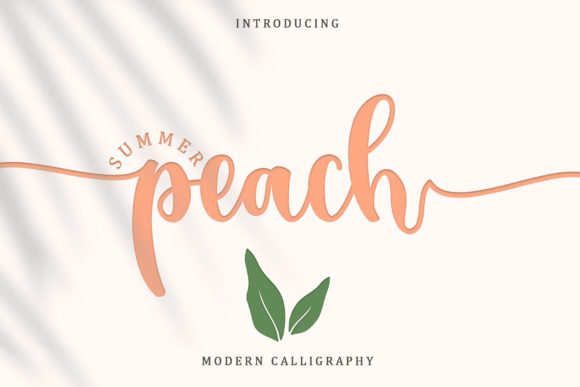 Summer Peach: A Script Font for Modern Web Design